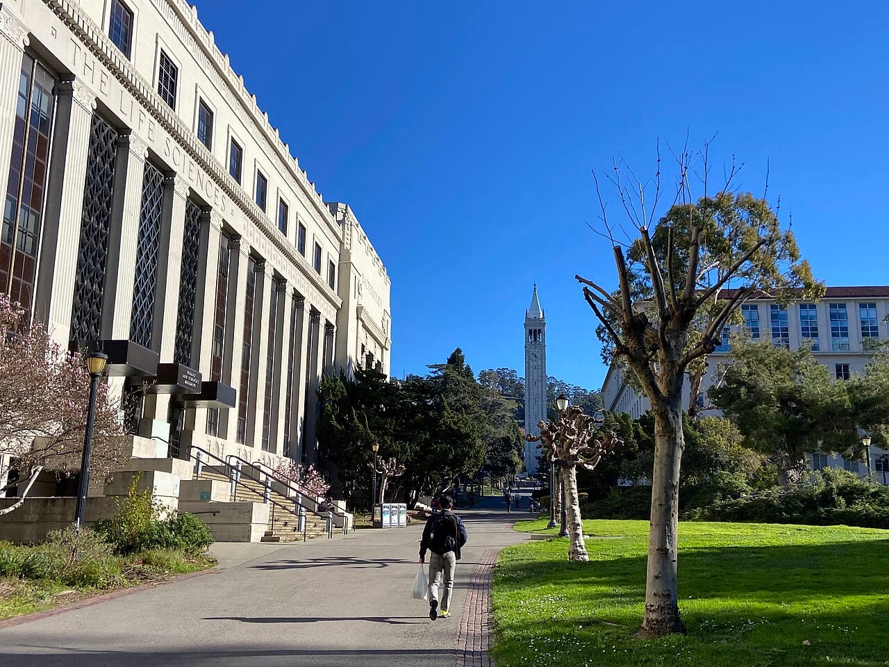 Sather Tower on the University of California, Berkeley campus