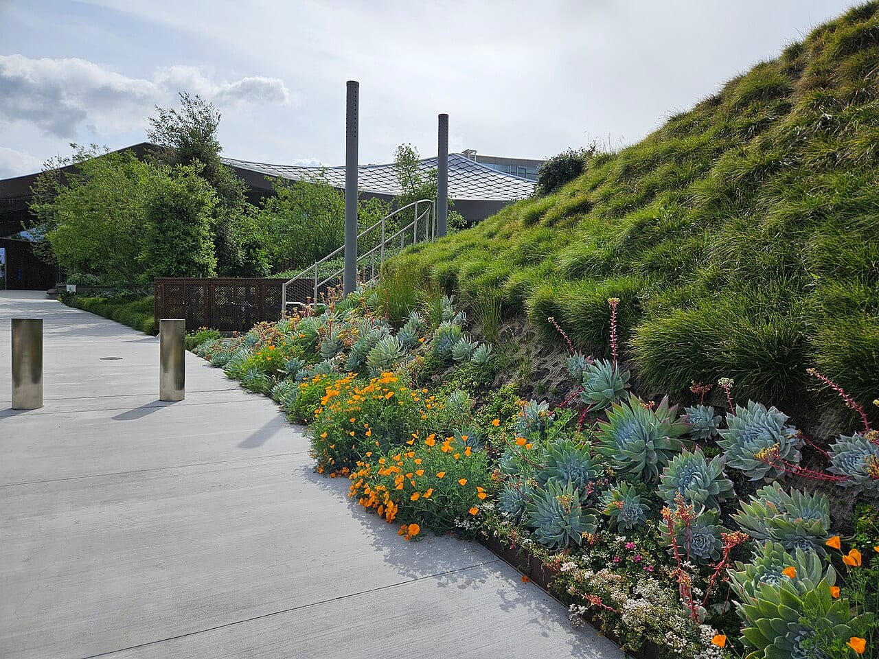 Google's Gradient Canopy building in Mountain View, California