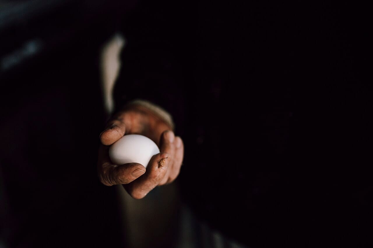 A hand holding one raw white egg in a dim kitchen