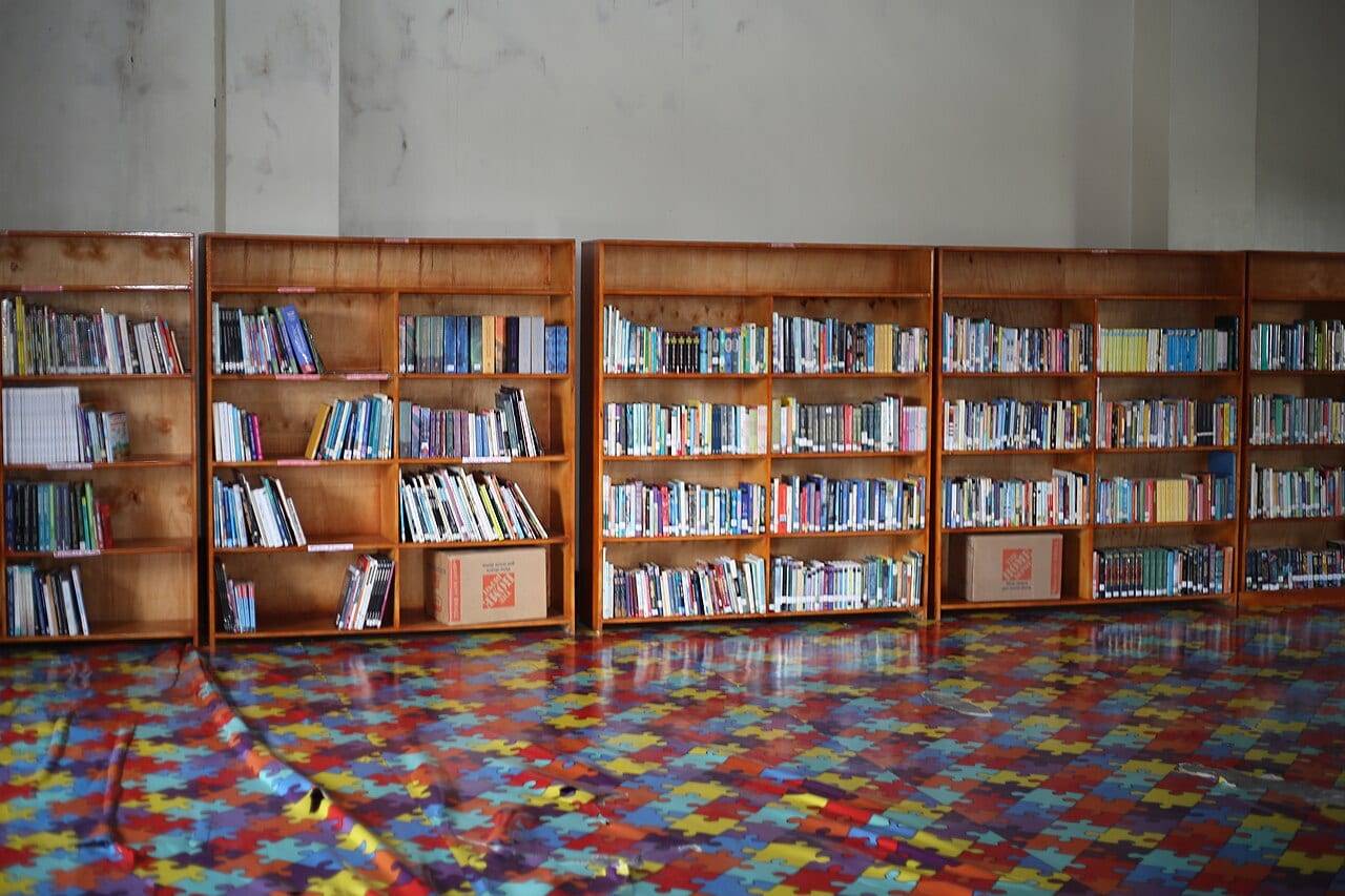 Shelves of books in a library, the kind of work Anthropic agreed to pay authors about 3,000 dollars a title for training on outside any license