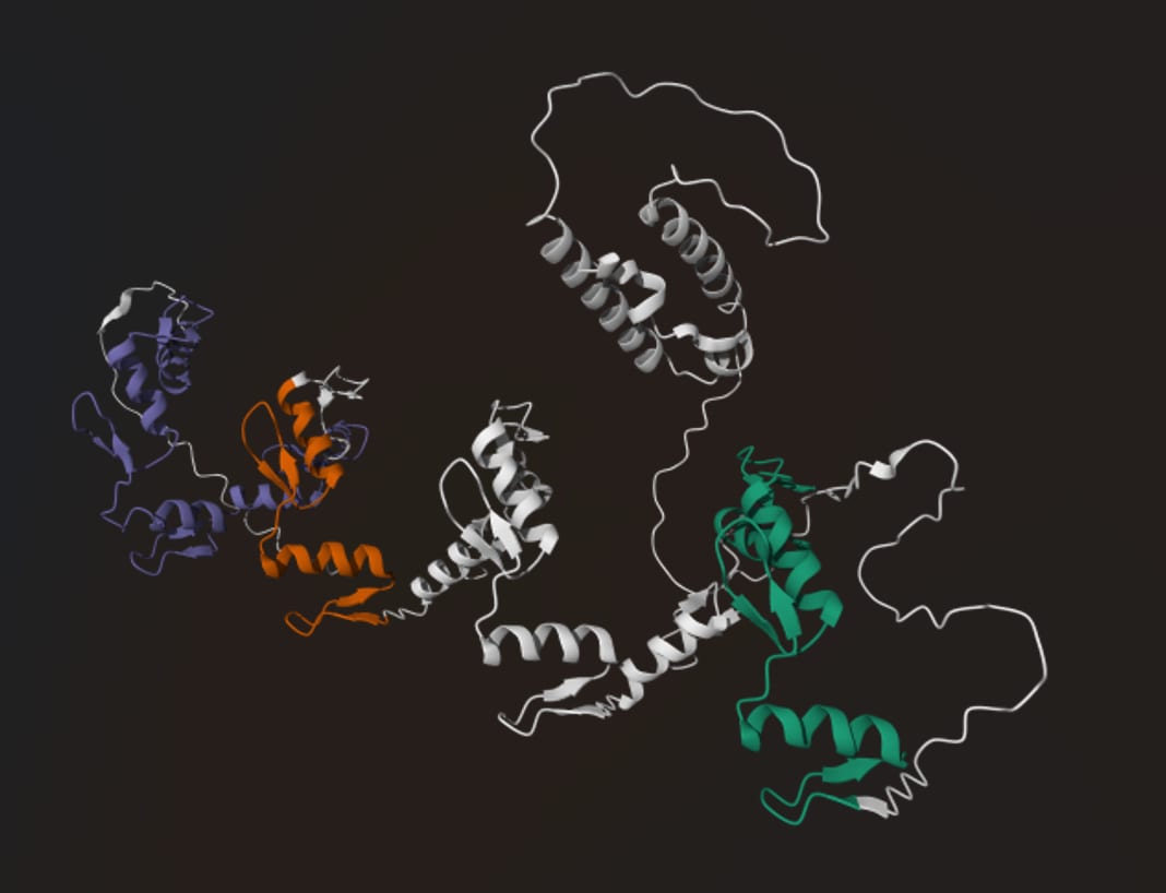 A three-dimensional protein structure predicted by DeepMind's AlphaFold system