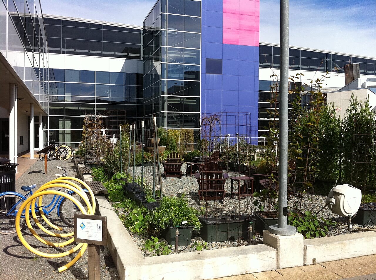 A garden walkway on Google's Mountain View campus