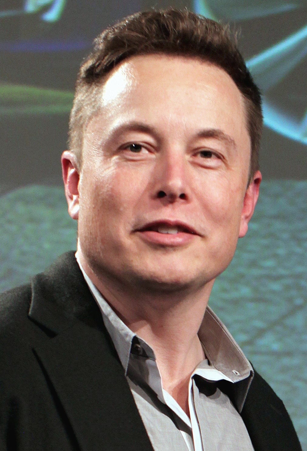 Elon Musk speaks at Tesla's 2015 annual shareholder meeting
