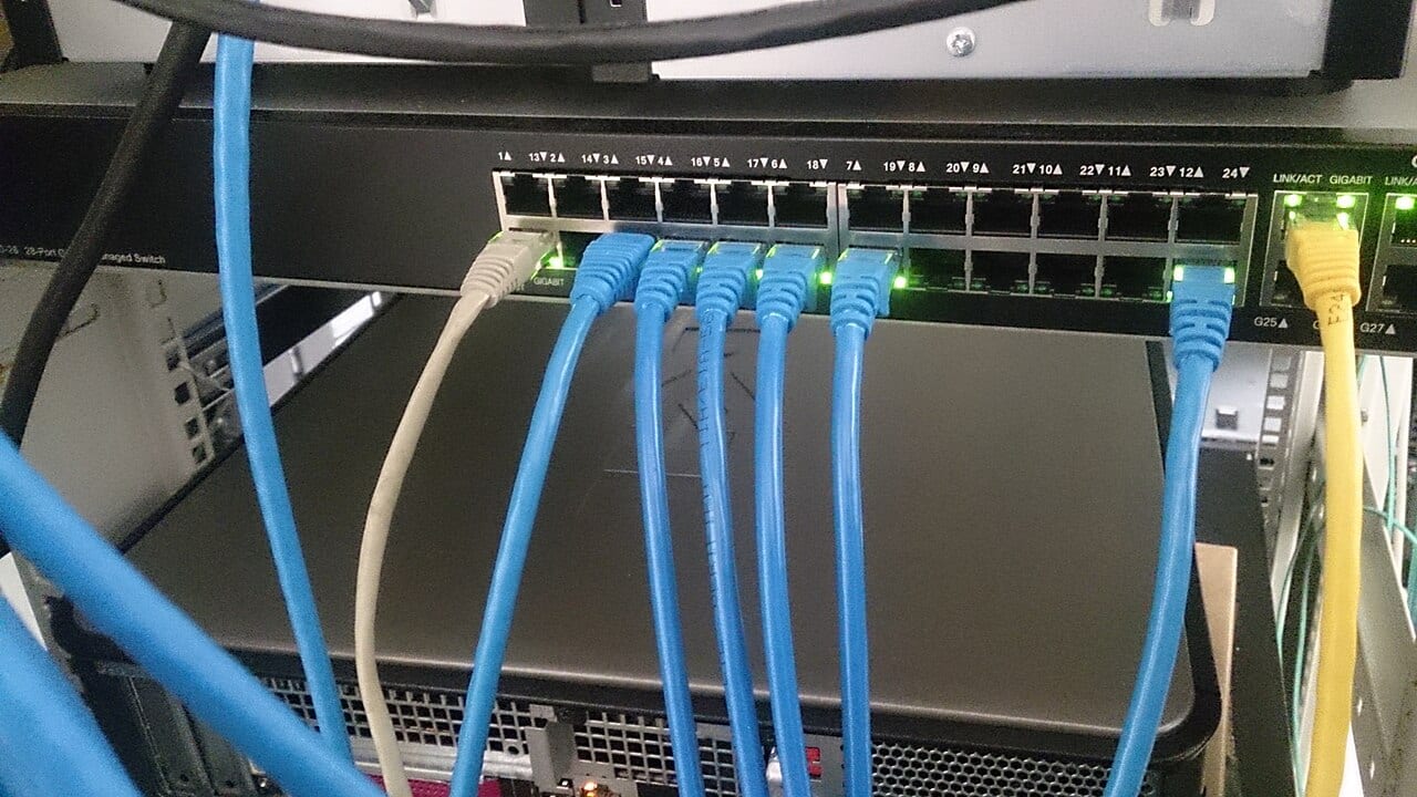 Network cables plug into a switch