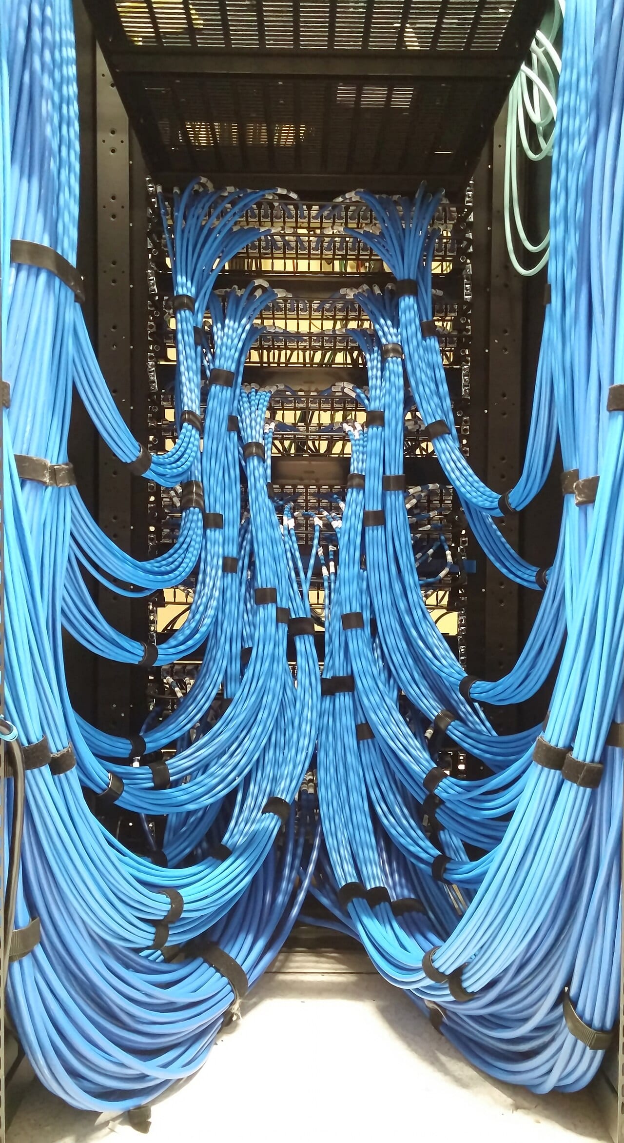 The rear of a data center Ethernet patch panel, rows of cables plugged into ports