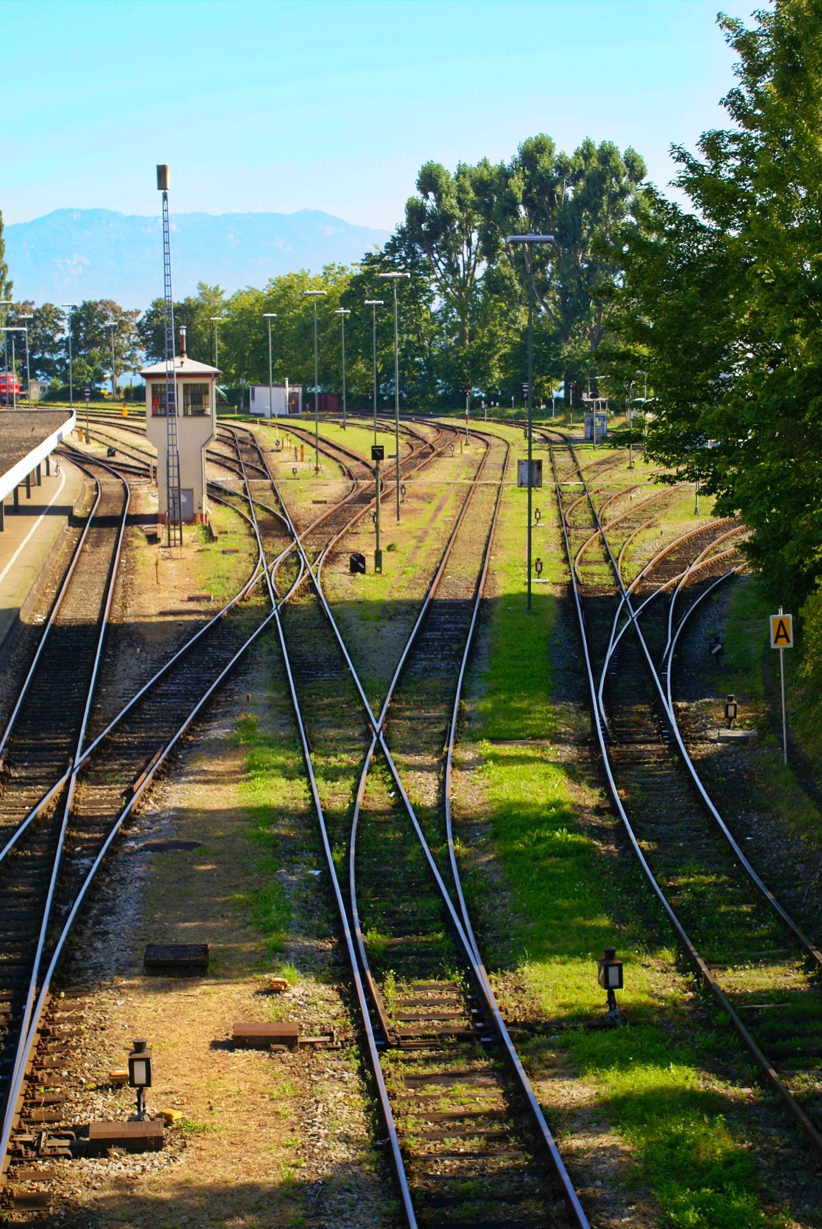 Rail tracks meeting at a bank of switches
