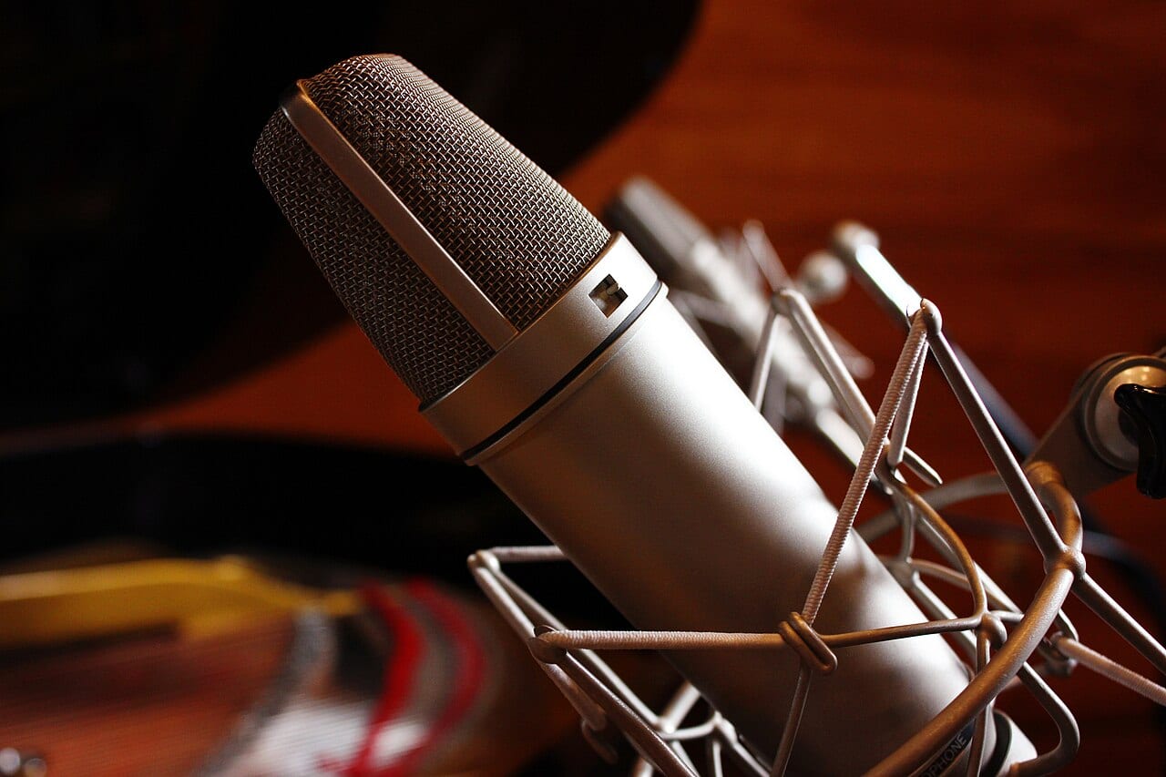 A studio condenser microphone used for recording vocals