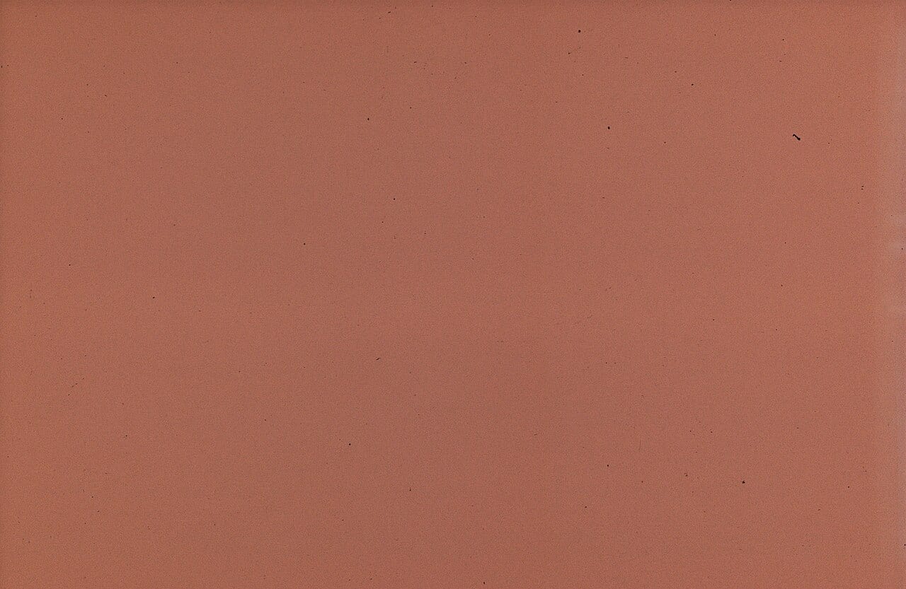 A scanned 35mm color film negative, showing its grain up close